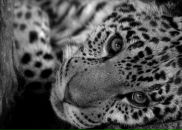 Фотография Романовой Юлии