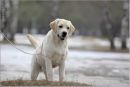 Іра Кіш(цибульська) фотография #15 (источник - https://vk.com/id119019539)