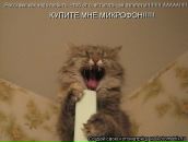 Фотография Путровой Вероники