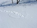 Станислав Петров фотография #50 (источник - https://vk.com/id2883281)