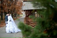 Алла Цыба фотография #31 (источник - https://vk.com/id61733935)