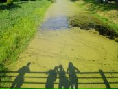 Янулька Чміль фотография #17 (источник - https://vk.com/id85195302)