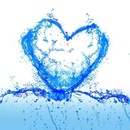 Софія Данюк фотография #5 (источник - https://vk.com/id141844011)