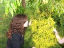 Інна Голота фотография #9 (источник - https://vk.com/id13586699)