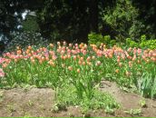 Ірина Грабовська фотография #20 (источник - https://vk.com/id24961302)