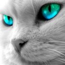 Фотография Машковцева Евгения