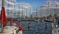 Фотография Сапина Макса