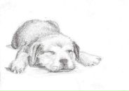 Фотография Наумова Александра