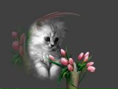 Фотография Кутявиной Ани