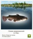 Ігор Сеньків фотография #22 (источник - https://vk.com/id157209547)