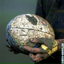 Фотография Смоляка Сереги