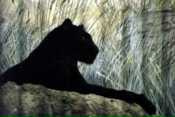 Фотография Кузнецовой Виктории