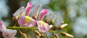 Фотография Букиной Татьяны