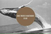 Mega Seratirov фотография #40 (источник - https://vk.com/id4808486)