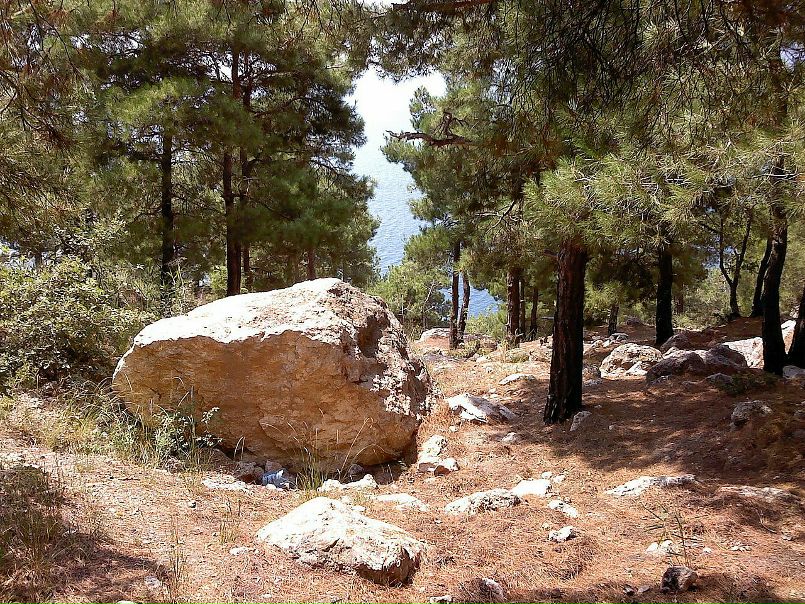 Дмитрий Резенков фото №47