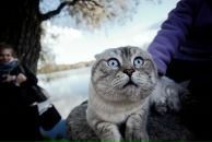 Daniel Alexeev фотография #29 (источник - https://vk.com/id377764)