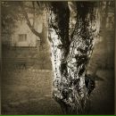 Юрій Ковальський фотография #31 (источник - https://vk.com/id132603403)