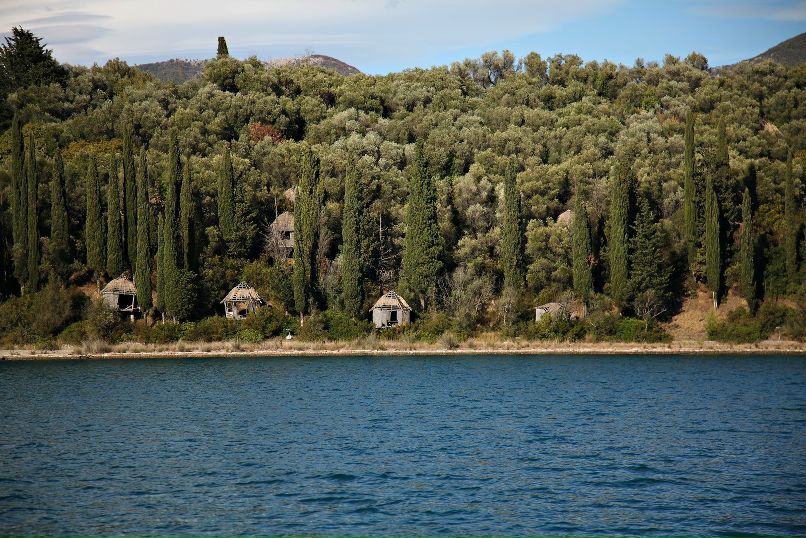 Дмитрий Старицын фотография #40