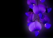 Фотография Адониной Оксаны