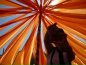 Фотография Кравчёнок Светланы