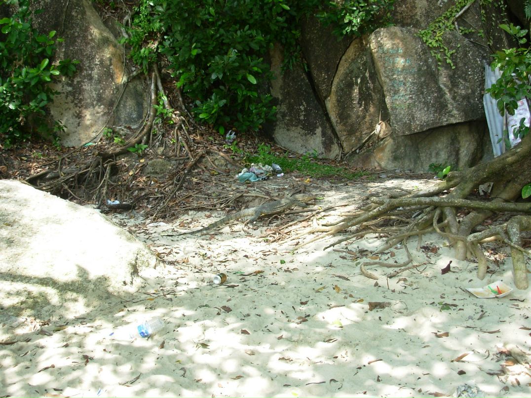 Валерий Иванов фотография #15