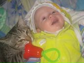 Фотография Лазорик Натальи