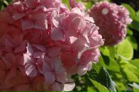 Наталія Діденко фотография #17 (источник - https://vk.com/id3846566)