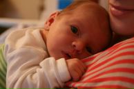 Фотография Сориной Ольги