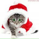 Фотография Дараевой Евгении