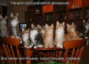 Фотография Белянской Светланы