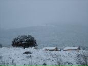 Oleksandra Bychkovska фотография #41 (источник - https://vk.com/id79014105)