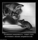 Марта Сенів фотография #46 (источник - https://vk.com/id37907172)