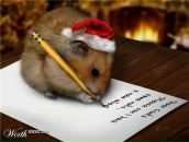 Фотография Чистовой Ирины