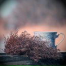 Фотография Ворониной Анны