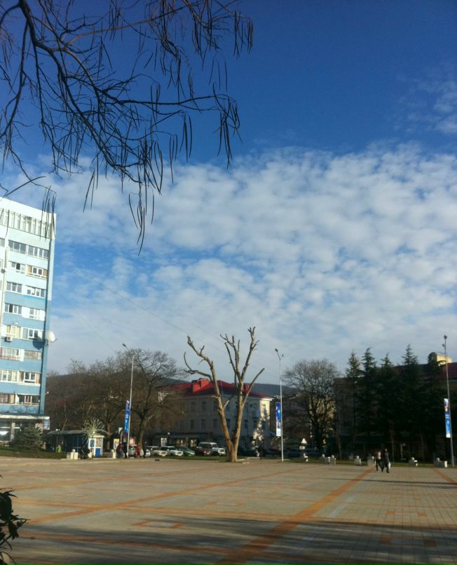 Дарья Вернер фотография #37