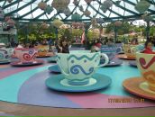 Фотография Каширской Элины