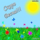 Фотография Васильевой Натальи