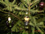 Фотография Шумской Екатерины