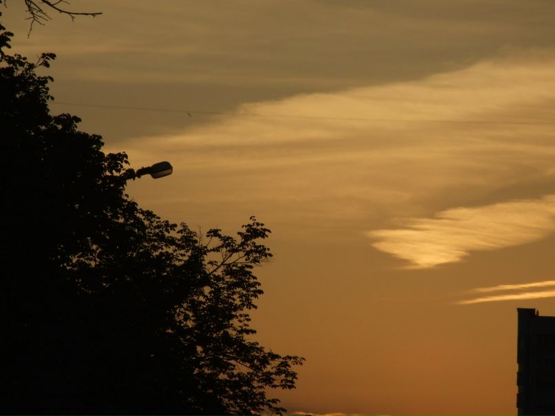 Дмитрий Климов фотография #33