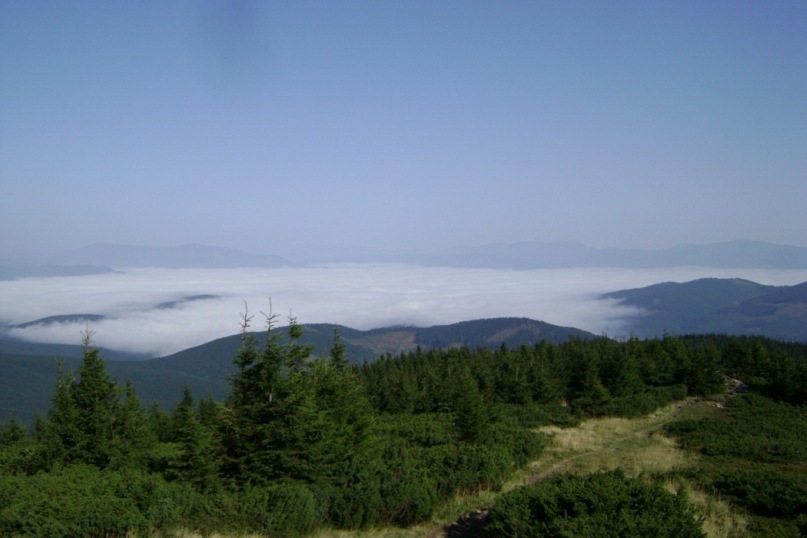 Александр Сильман фотография #29