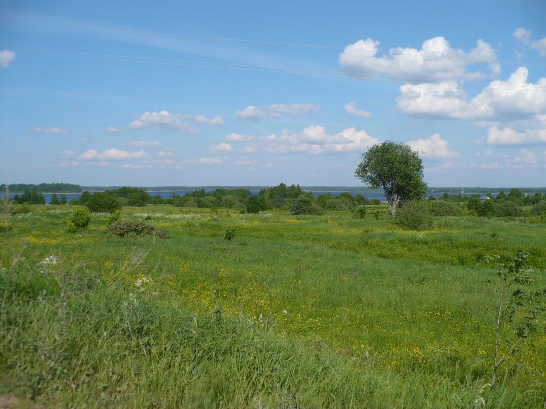 Руслан И. фотография #46
