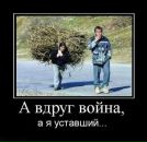 Фотография Машины Романа