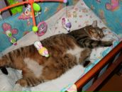 Фотография Полушкиной Юлии