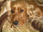 Фотография Слесаревой Людмилы