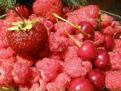 Фотография Generalova Irina