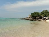 Francua *_*_* фотография #41 (источник - https://vk.com/id68343578)