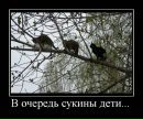Макс Пронів фотография #28 (источник - https://vk.com/id44517894)