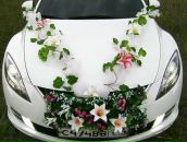 Фотография Колос Марии