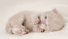 Оксана Січкар фотография #9 (источник - https://vk.com/id94863128)