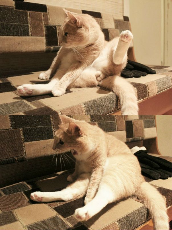 Никита Тихонов фотография #21